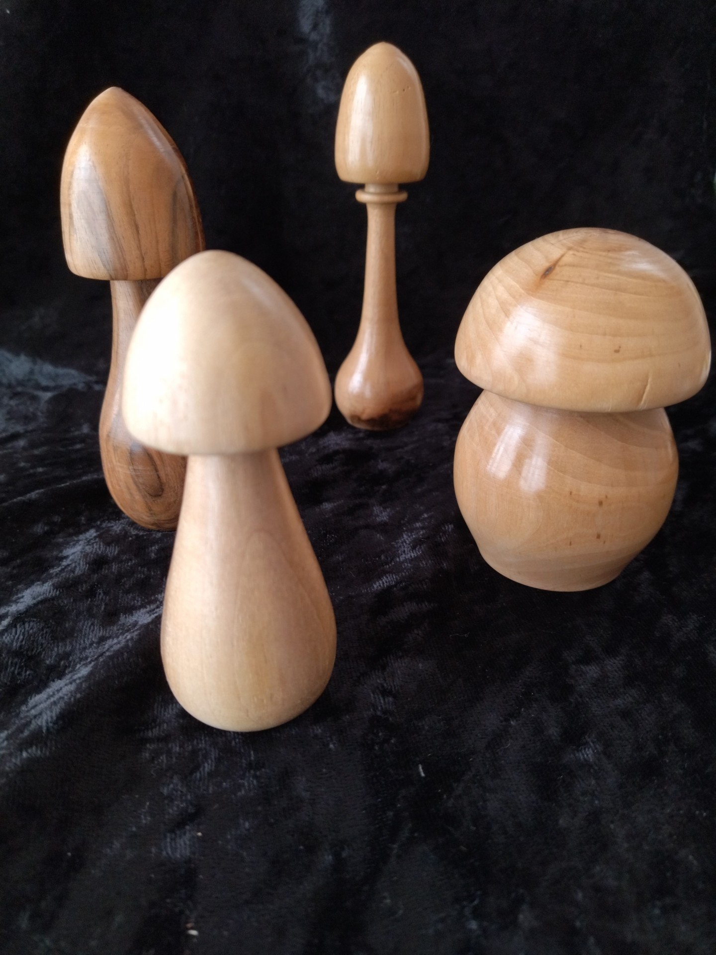 Champignons bois 8 a 10 cm