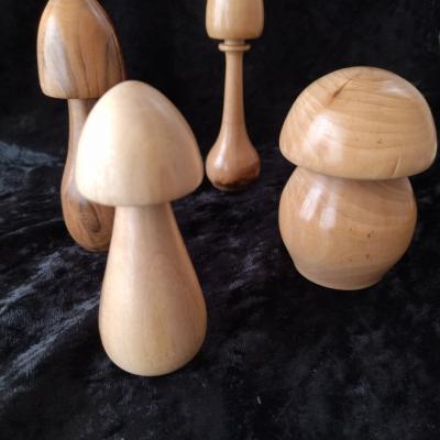 Champignons bois 8 a 10 cm