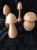 Champignons bois 8 a 10 cm
