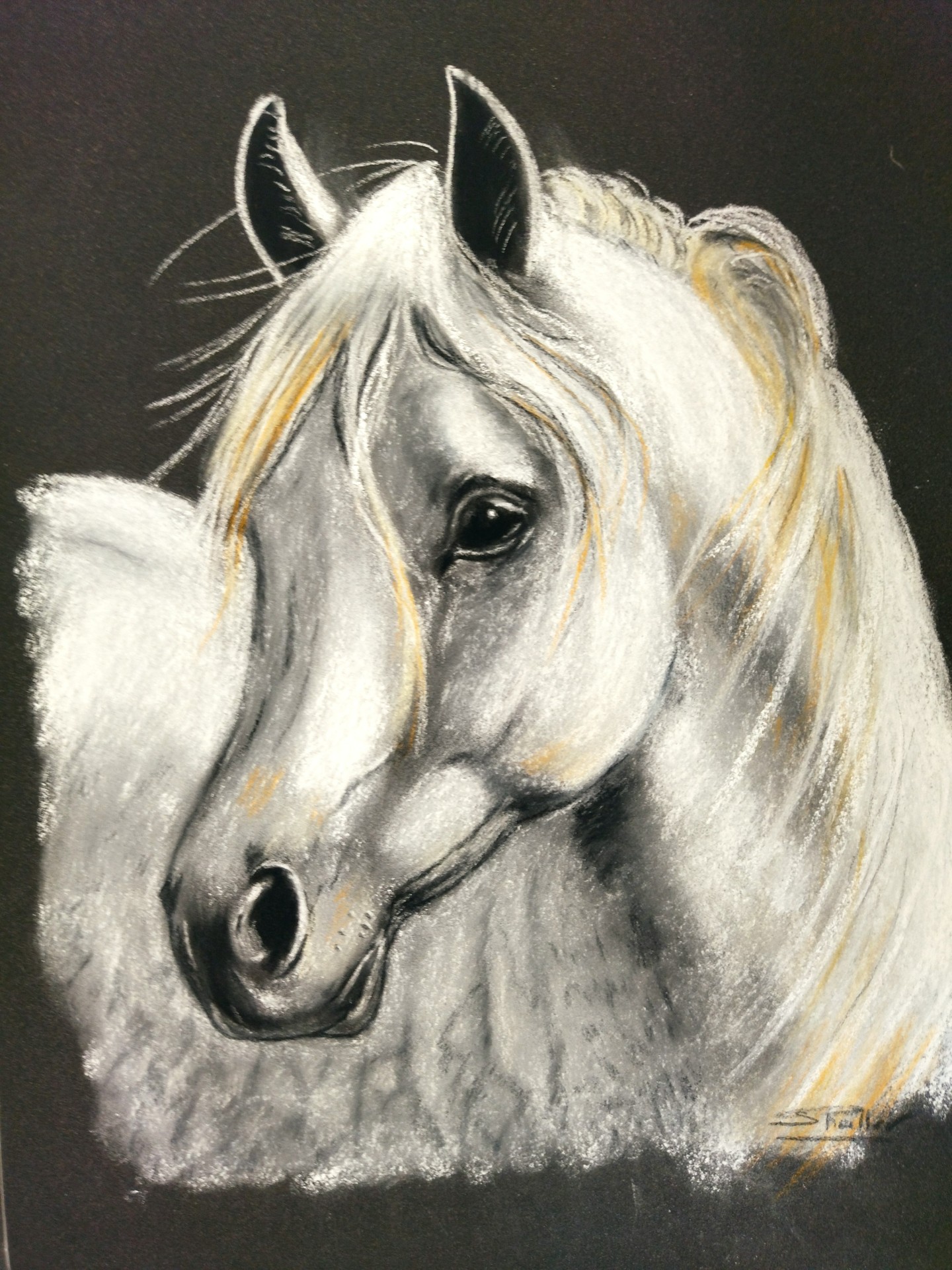 Cheval blanc pastel sec