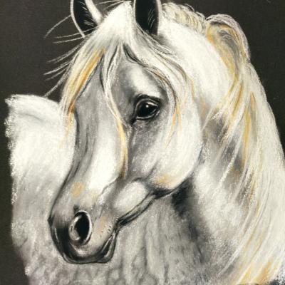 Cheval blanc pastel sec