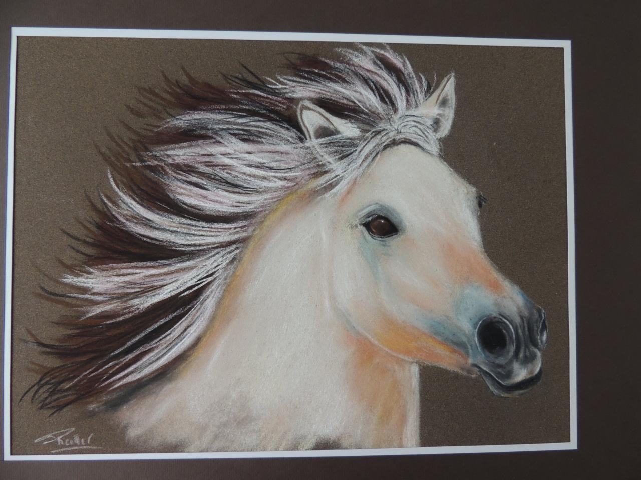 pastel sec sur pastelcard