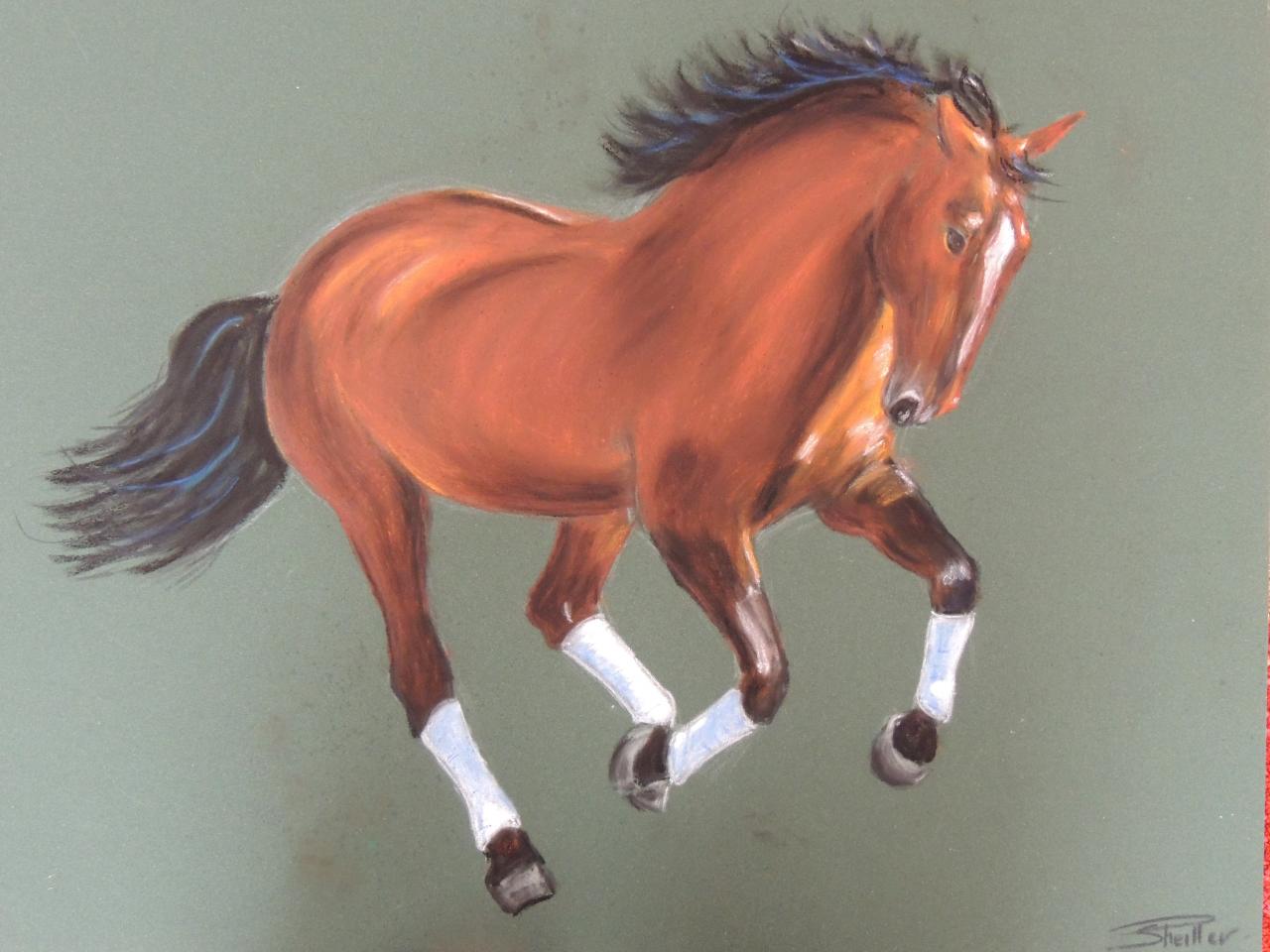 pastel 40 X 50 sur pastelcard