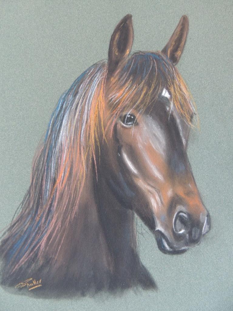 cheval bai pastel sec