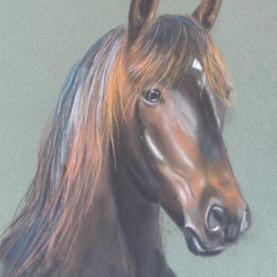 cheval bai pastel sec