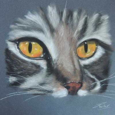 regard doré pastel sec