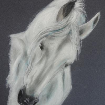 cheval blanc pastel sec