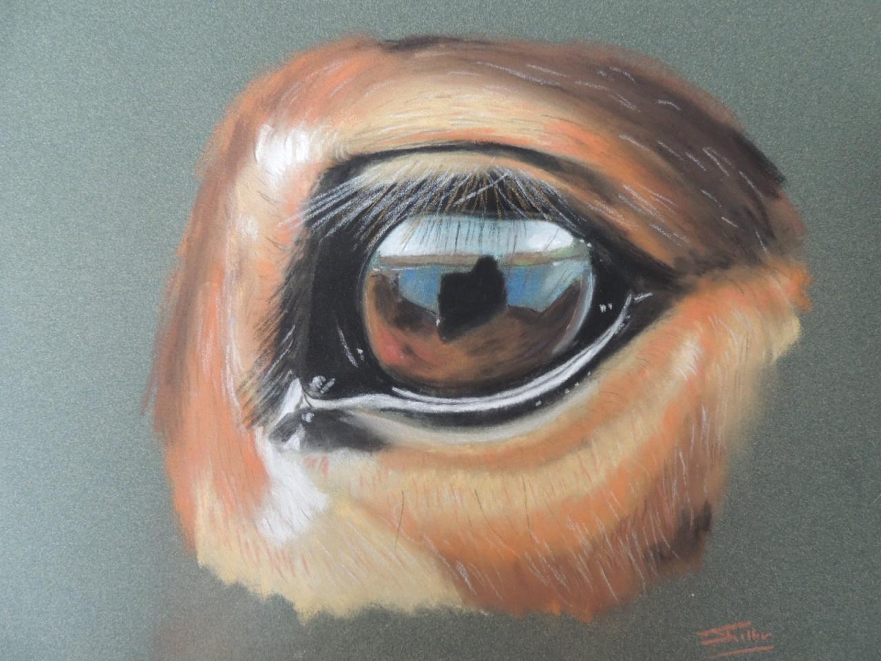 oeil pastel sec