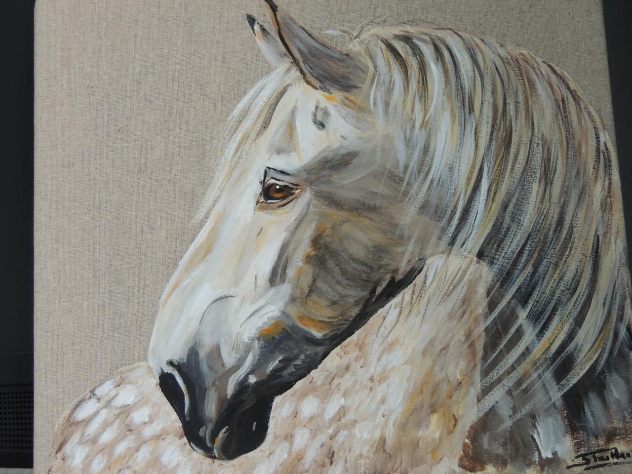 acrylique sur toile 30 X 30