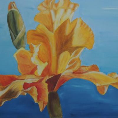 iris acrylique 50 X 60