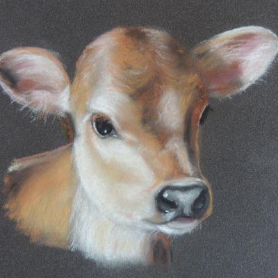 Vaches