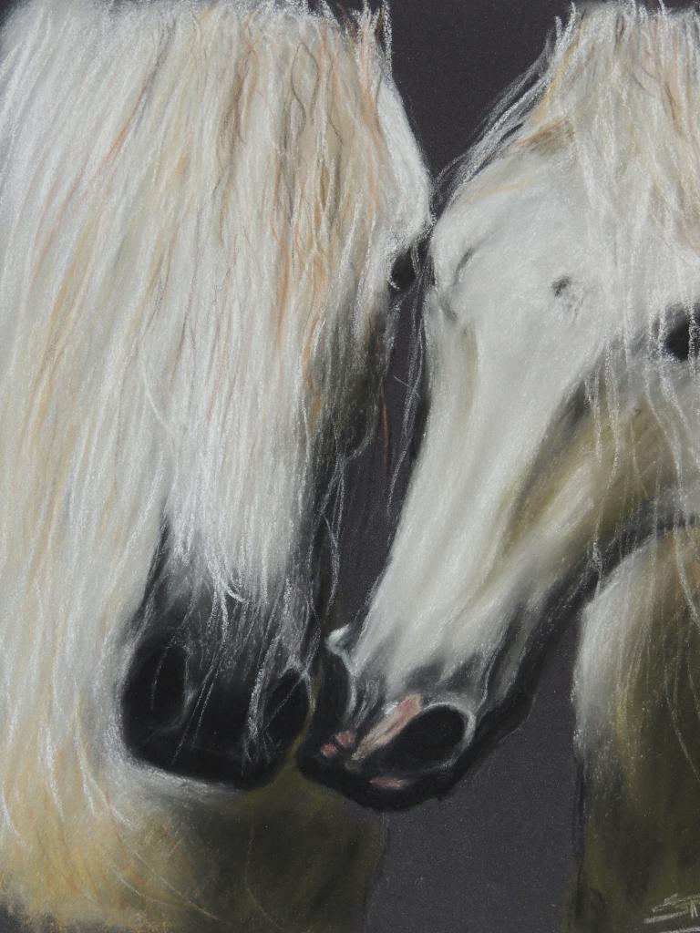 pastel sur pastel card