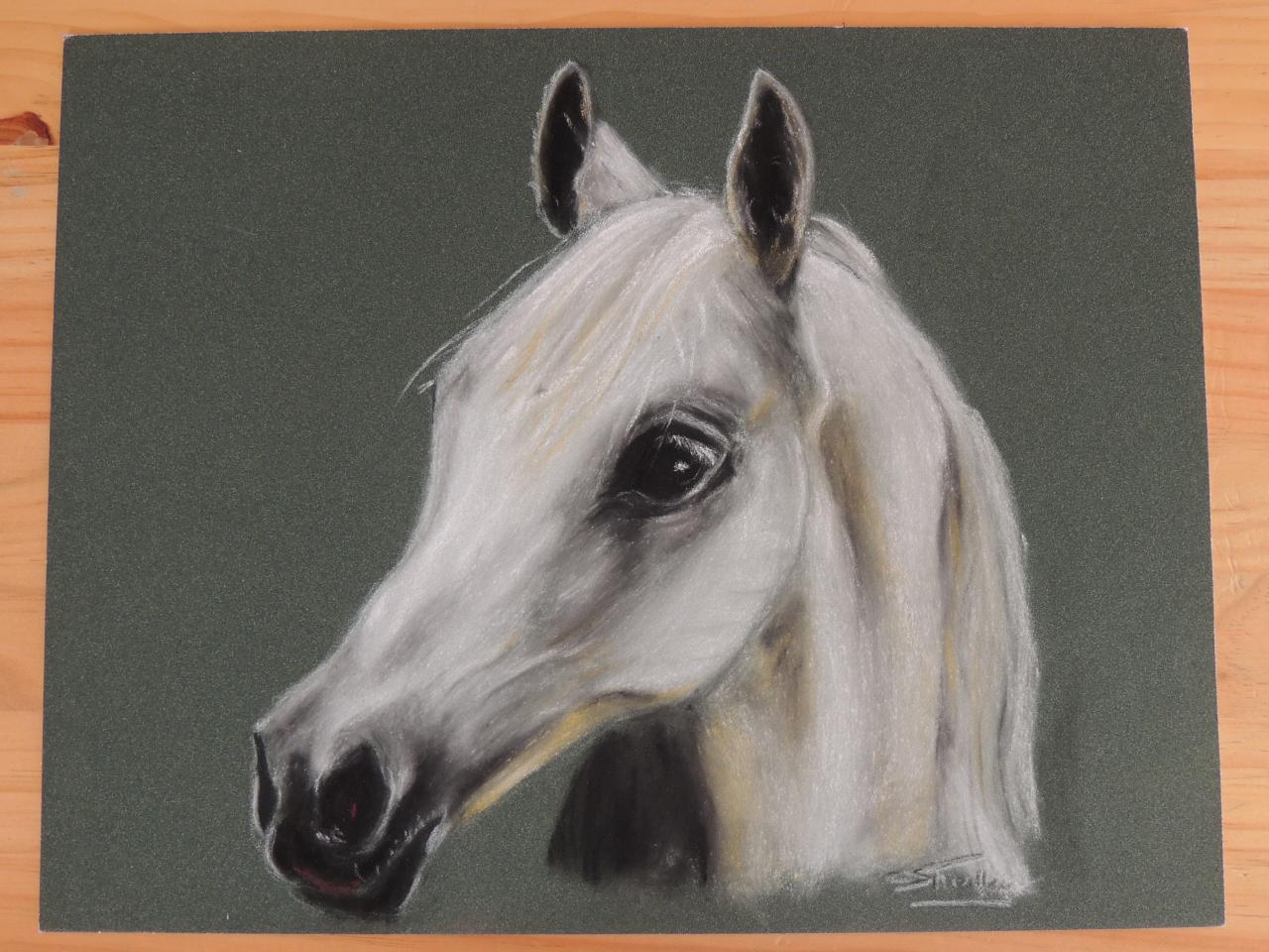 pastel sur pastel card