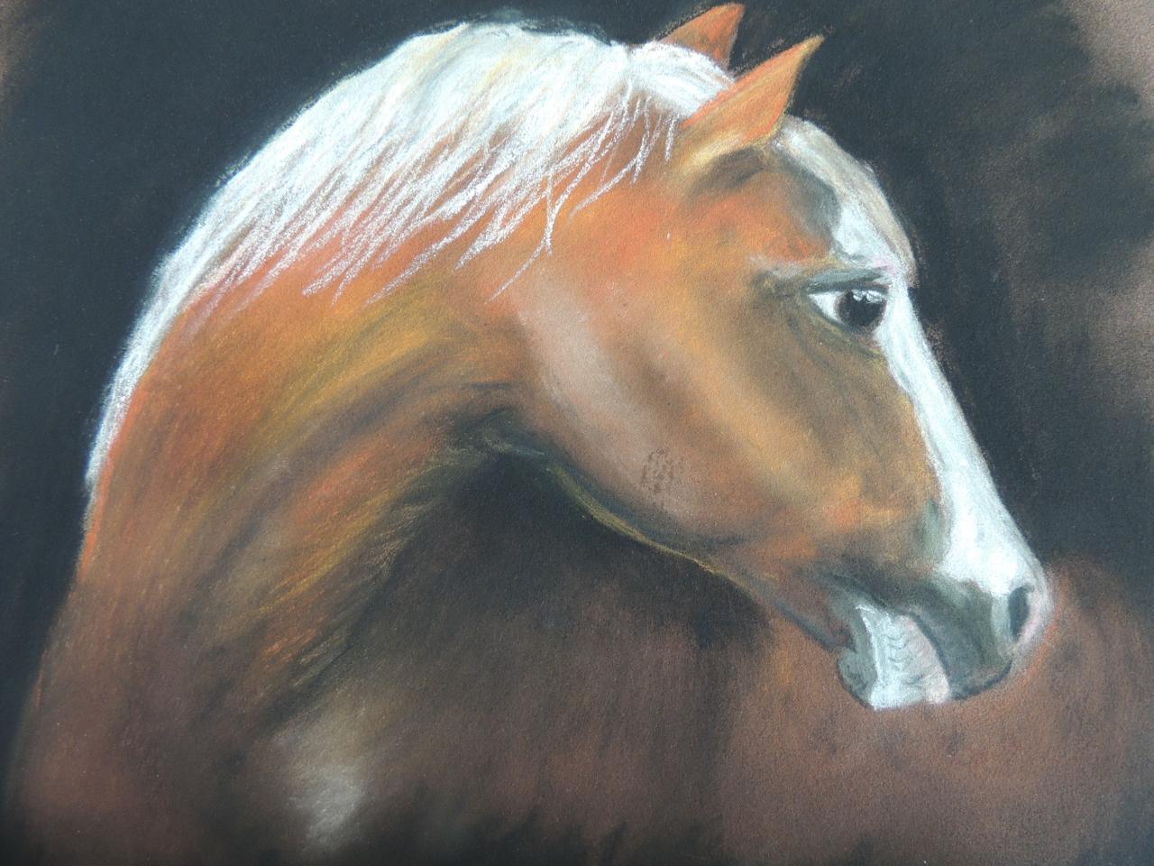 pastel sec sur pastel card 21X29