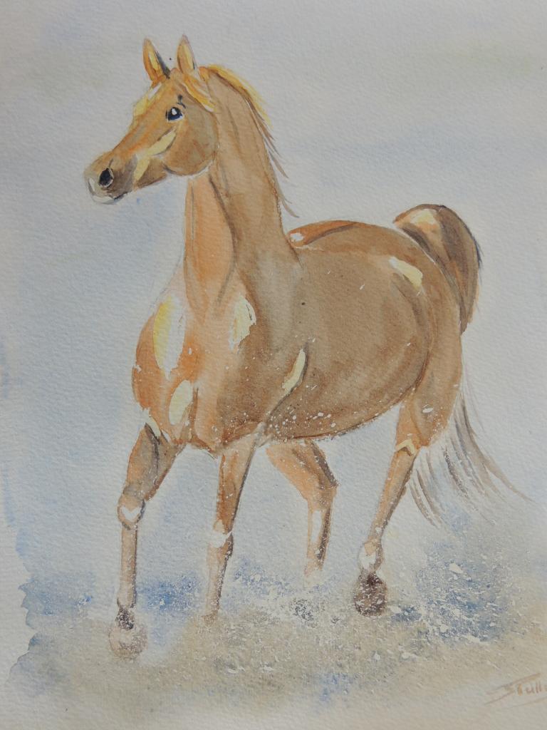 aquarelle150