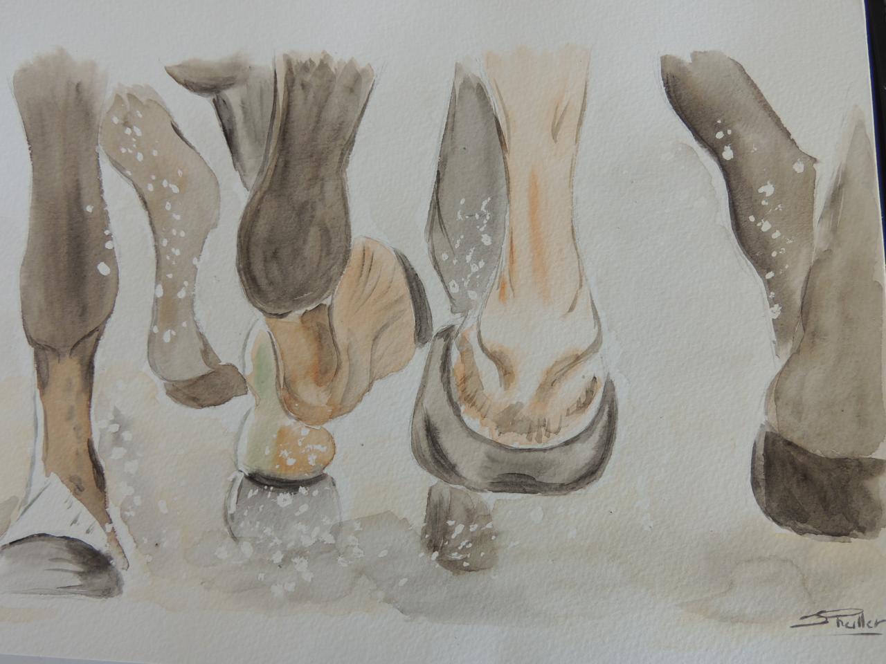 aquarelle