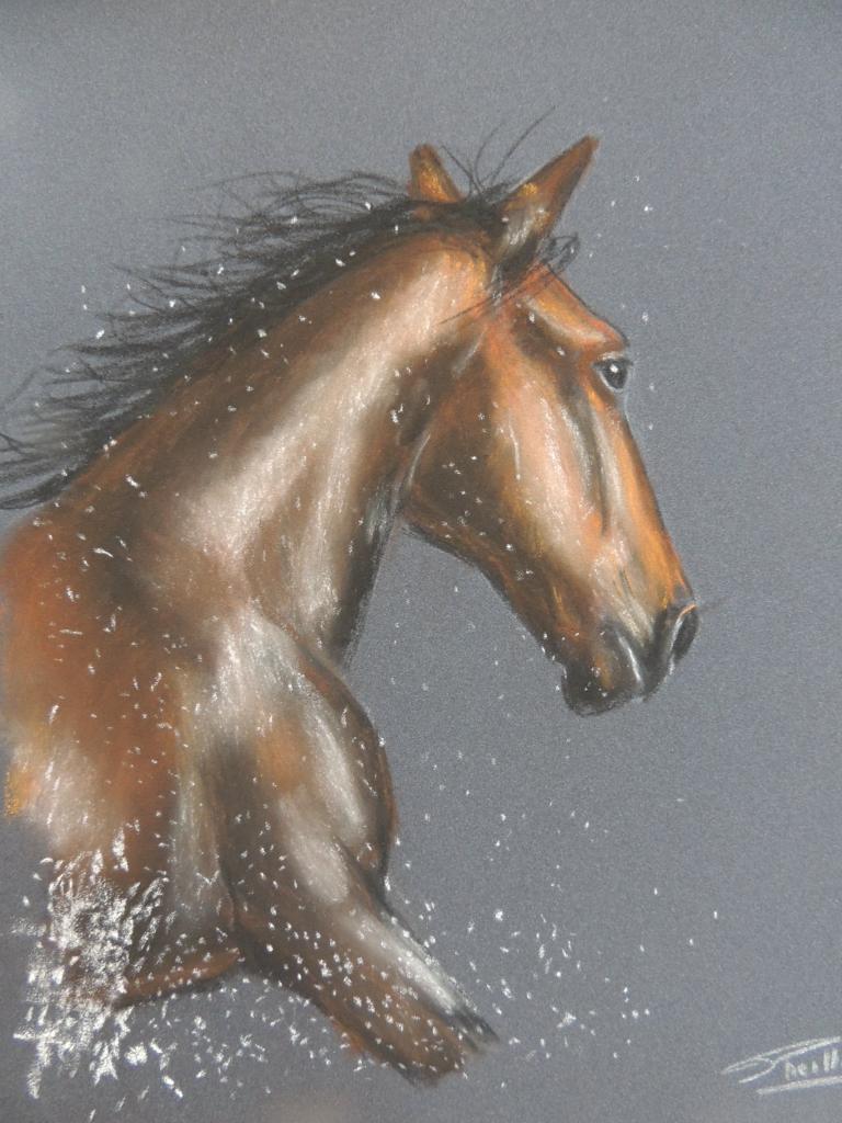 pastel sur pastelcard