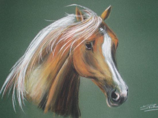 pastel sur pastel card 25x32,5