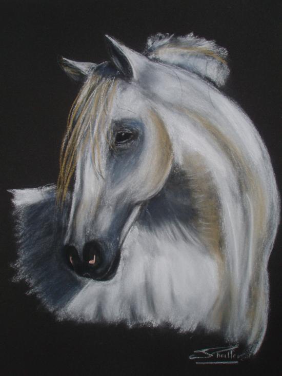 pastel sur pastel card 25x32,5