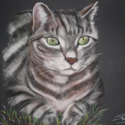 chat