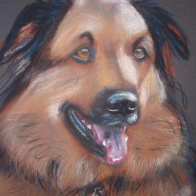 pastel sur pastelcard