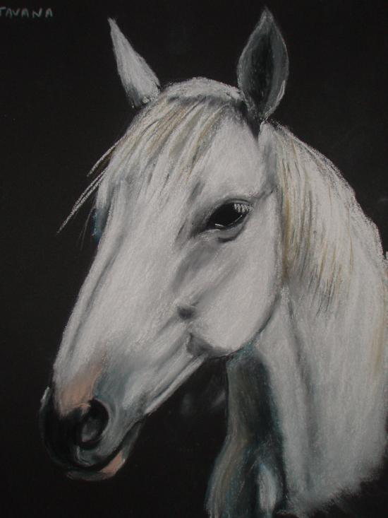 pastel sur pastelcard