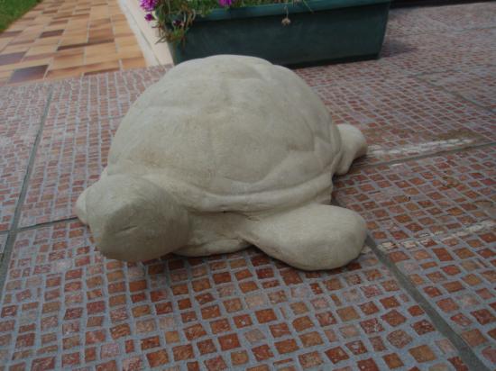 sculpture tortue