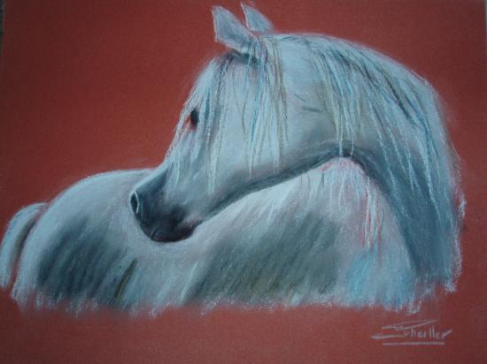 pastel