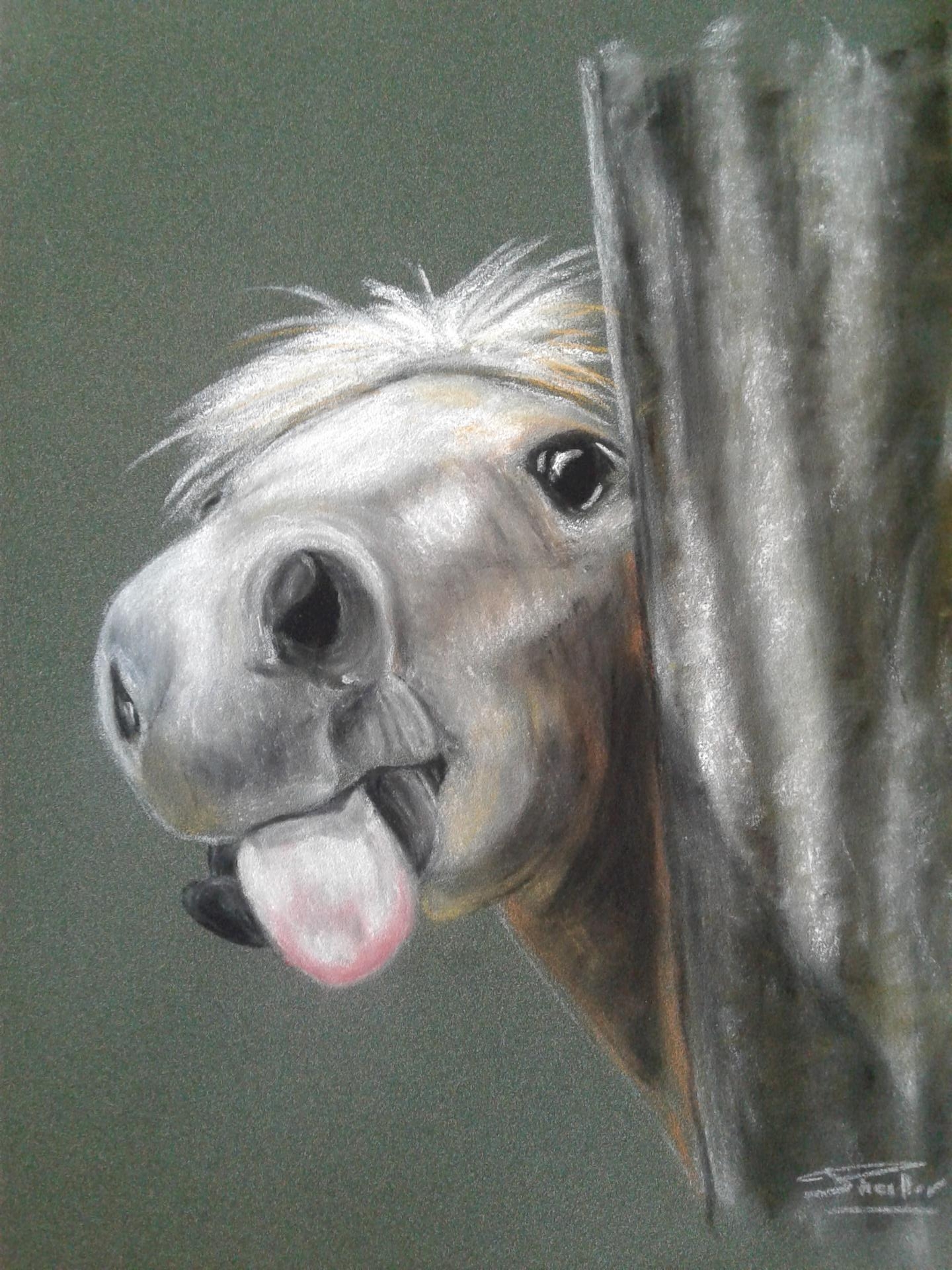 portrait cheval chat chien pastel sec