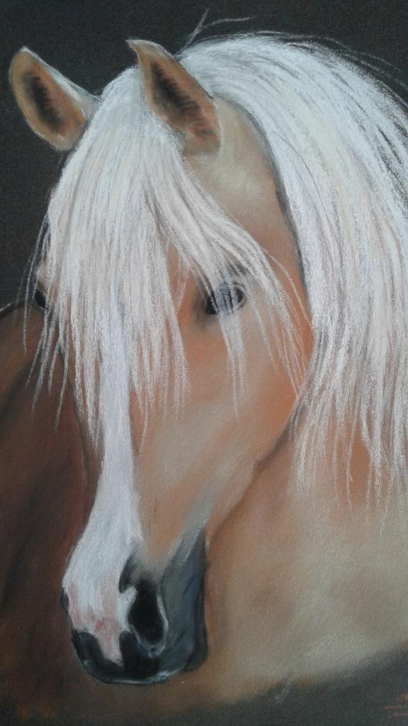 portrait cheval chat chien pastel sec